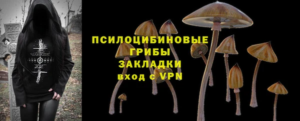 а пвп мука Верея