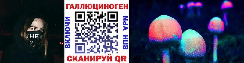 кракен сайт  Элиста  Галлюциногенные грибы Psilocybe 